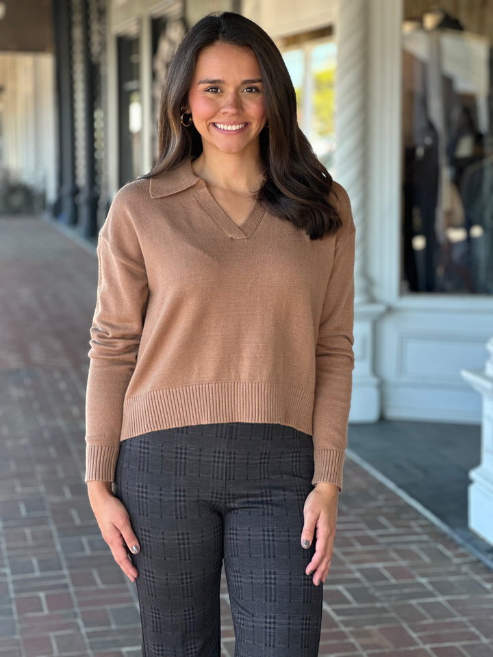 Brown Johnny Collar Sweater