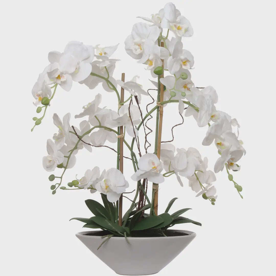 23" White Phalaenopsis Orchid Flowers in White Boat Pot