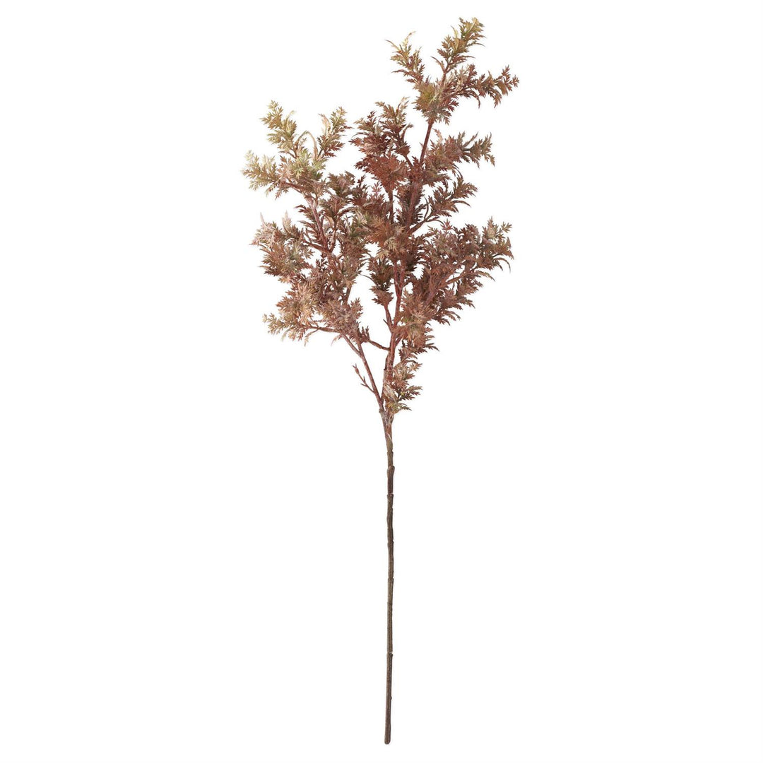 29 Inch Fall Cypress Stem