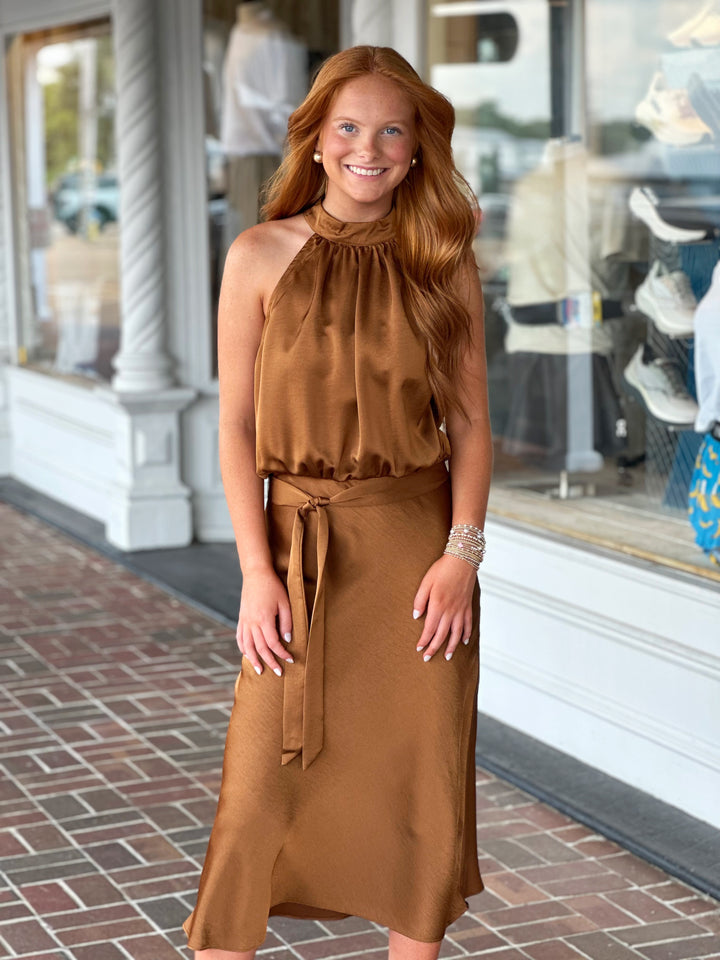 Standing Tall Brown Dress
