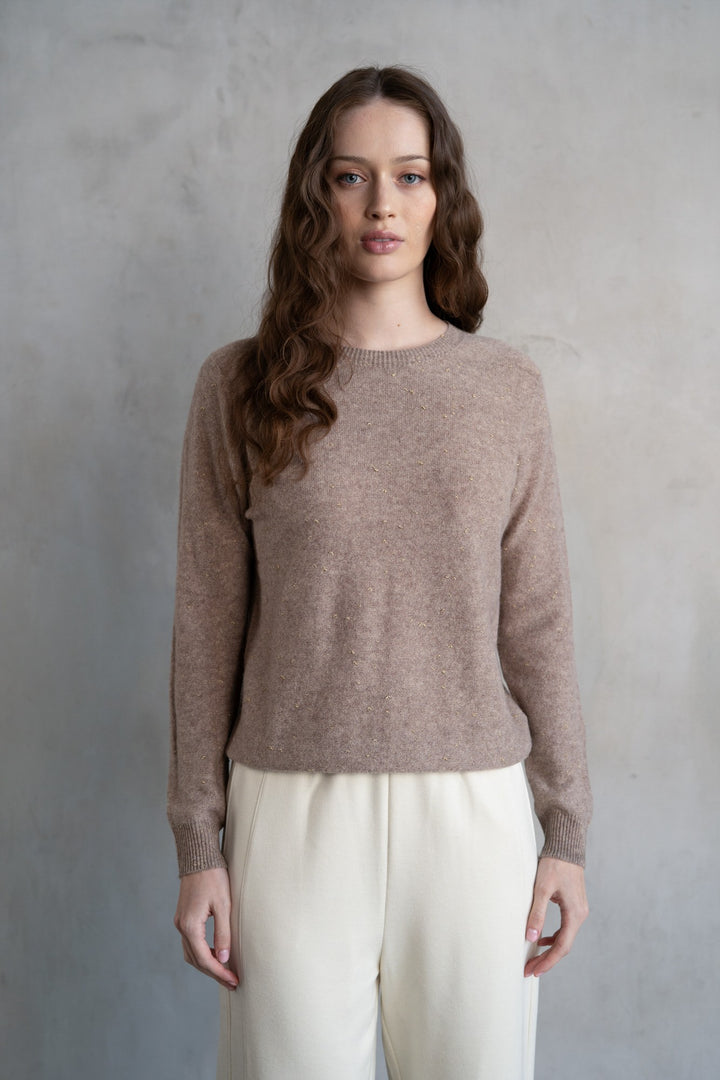 Sparkled Crew Neck Long Sleeve Sweater in Mocha