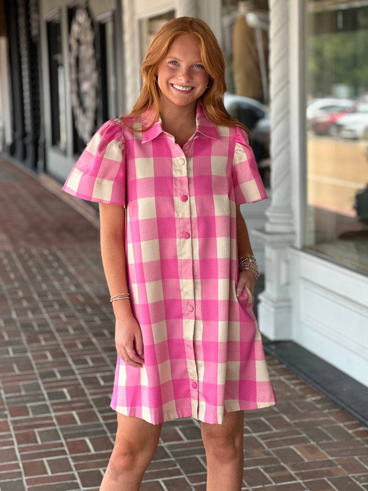 In All The Best Ways Red Gingham Mini Dress
