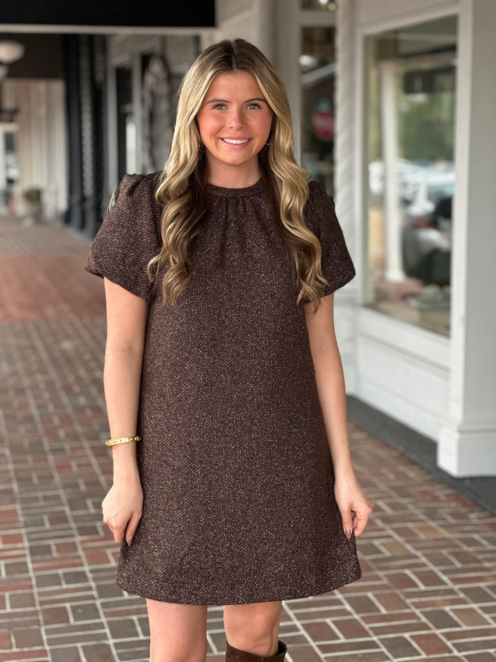 Ivy Jane Metallic Tweed Dress in Brown