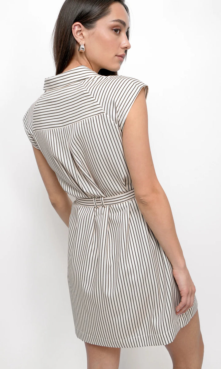 Snider Stripe Shirt Dress in Sand/Black