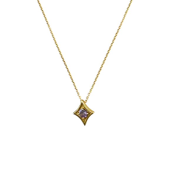 Waxing Poetic A Star is Born Birthstone Necklace- February